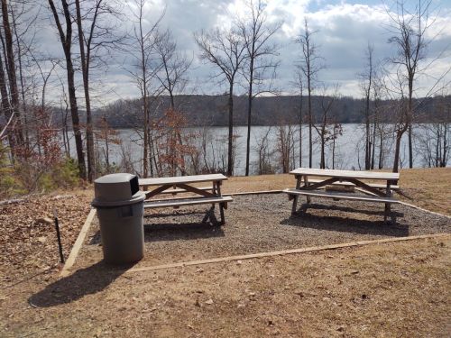 Two picnic tables and a trash can by a lake, surrounded by bare trees under a cloudy sky.