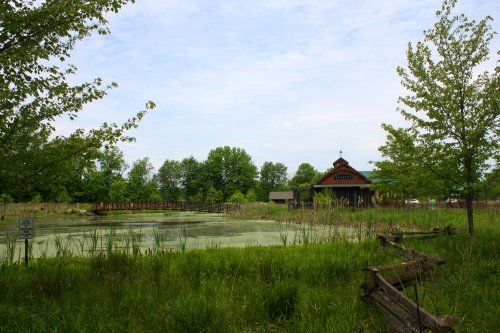 A serene pond surrounded by greenery, with a wooden bridge and a rustic building in the background under a cloudy sky.