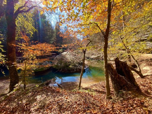 A serene forest scene with autumn leaves, a clear blue pond, and sunlight filtering through the trees.