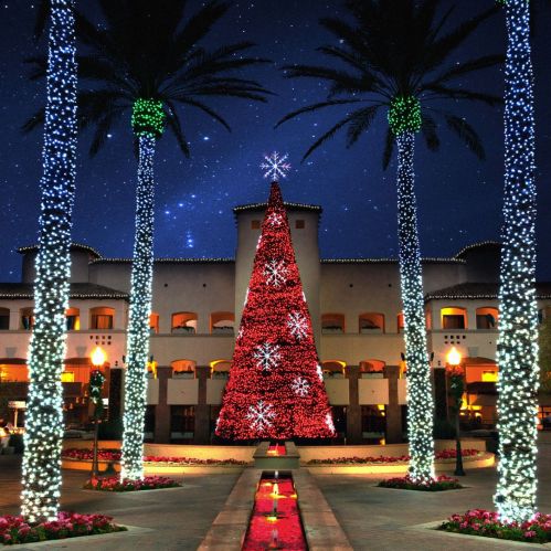 A brightly lit Christmas tree surrounded by palm trees and festive lights at night, with a starry sky above.