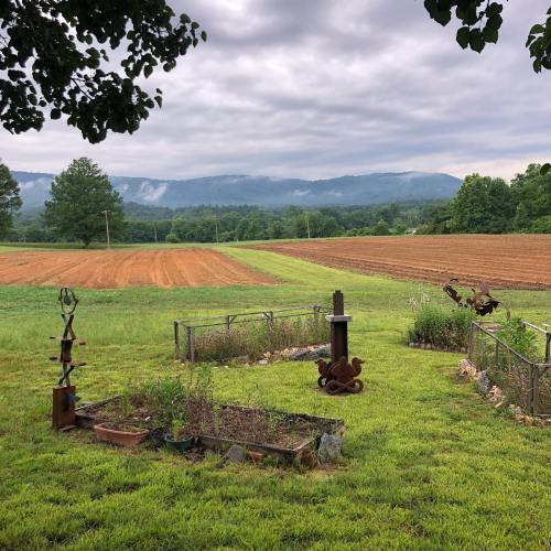 A scenic view of green fields and distant mountains, with a garden and rustic decorations in the foreground.
