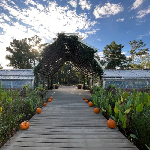 A wooden pathway leads to a greenhouse, framed by greenery and adorned with pumpkins under a bright blue sky.