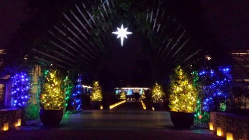 A festive pathway illuminated by colorful lights and decorated trees, with a large star hanging above.