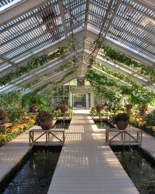 A bright greenhouse with a wooden walkway, surrounded by lush plants and water features under a slatted roof.