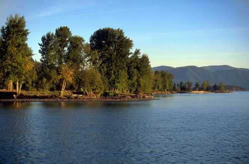 A serene lakeside view with trees lining the shore and mountains in the background under a clear blue sky.