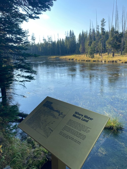 A sign by a serene riverbank, surrounded by trees, with a clear blue sky above. The sign discusses the water's ecosystem.