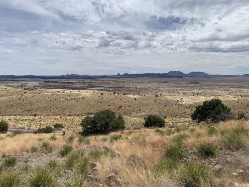 A vast, arid landscape with rolling hills, sparse vegetation, and distant mountains under a cloudy sky.