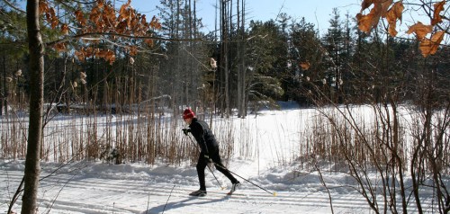 A person cross-country skiing on a snowy trail surrounded by trees and winter scenery.