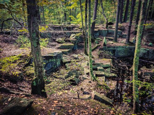 A serene forest scene with rocky terrain, scattered boulders, and a small stream surrounded by trees and autumn foliage.