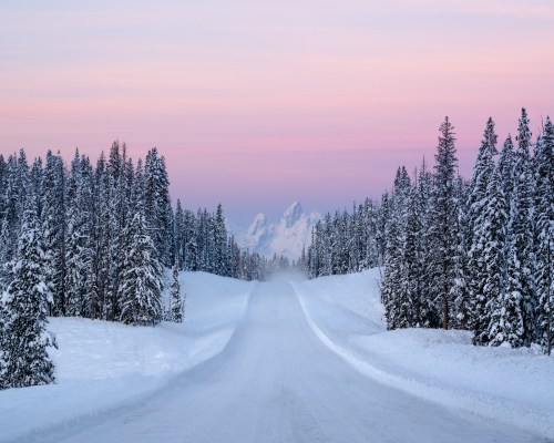 Snow-covered road winding through a winter forest.