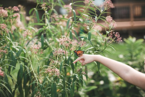 A child's hand gently points at a butterfly resting on pink flowers in a garden.