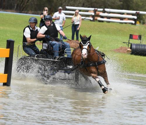 Two men in a cart are racing a horse through a water obstacle, splashing water in a competitive event.