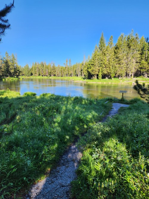 A serene lakeside scene with lush greenery, tall trees, and a clear blue sky reflecting on the calm water.
