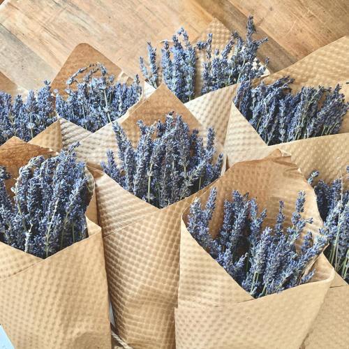 Bunches of dried lavender wrapped in brown paper, arranged on a wooden surface.