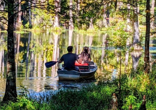 A couple paddles a canoe on a serene lake surrounded by trees, reflecting the vibrant colors of nature.