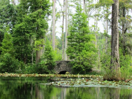A serene landscape featuring a stone bridge over a calm pond surrounded by lush greenery and cypress trees.