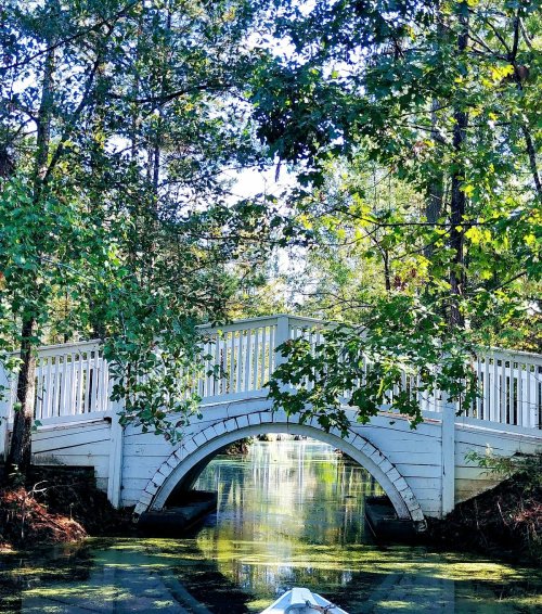 A white wooden bridge arches over a serene, green-tinted waterway surrounded by lush trees.