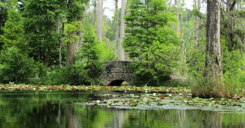 A stone bridge arches over a serene pond surrounded by lush greenery and lily pads.