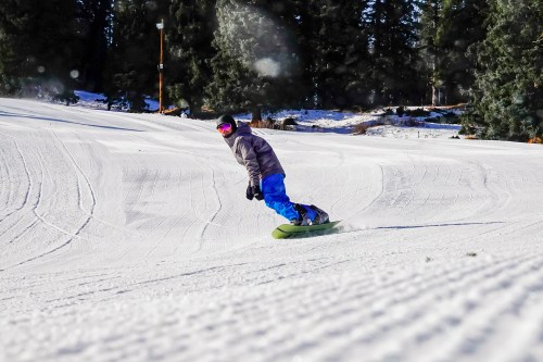 A snowboarder in a gray jacket and blue pants carves down a snowy slope surrounded by trees.