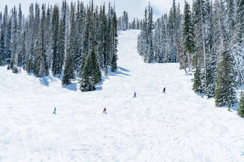 A snowy ski slope surrounded by tall pine trees, with several skiers making their way down the hill.
