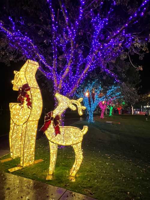 Brightly lit reindeer and a festive figure surrounded by colorful lights on trees at night.