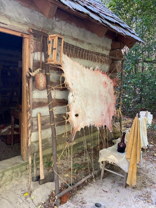 A rustic cabin with a large animal hide hanging outside, surrounded by trees and tools leaning against the wall.