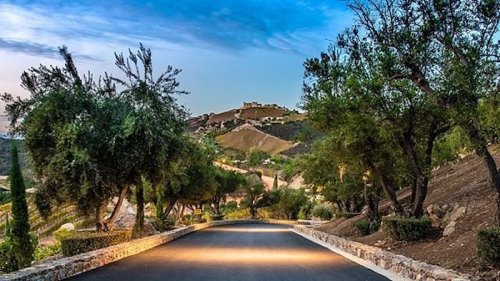 A scenic road lined with trees, leading to a hilltop with a castle under a blue sky.