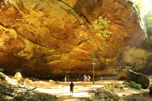 A group of people exploring a large rock formation in a forested area, with sunlight filtering through the trees.