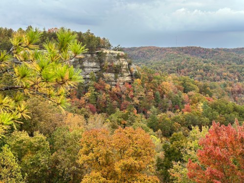 A scenic view of a colorful forest in autumn, featuring vibrant red, orange, and yellow foliage against rocky cliffs.