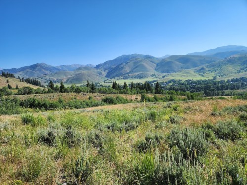 A scenic view of rolling green hills and mountains under a clear blue sky, with a grassy foreground.