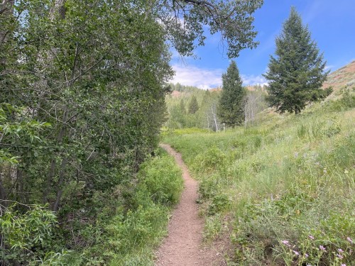 A narrow dirt path winds through lush greenery and trees under a blue sky with scattered clouds.