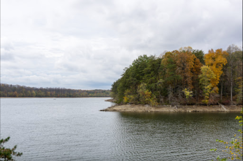 A serene lake surrounded by trees with autumn foliage under a cloudy sky.