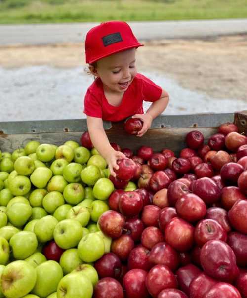 A joyful child in a red cap reaches for apples in a colorful display of green and red apples.