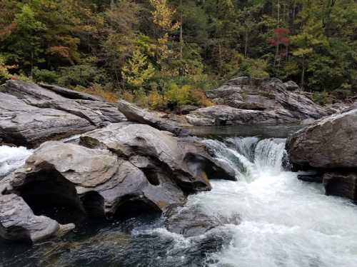 A serene river flows over smooth rocks, surrounded by lush greenery and autumn-colored trees.