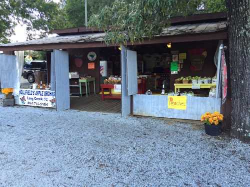 A rustic fruit stand with open doors, displaying signs for apples and peaches, surrounded by gravel and greenery.