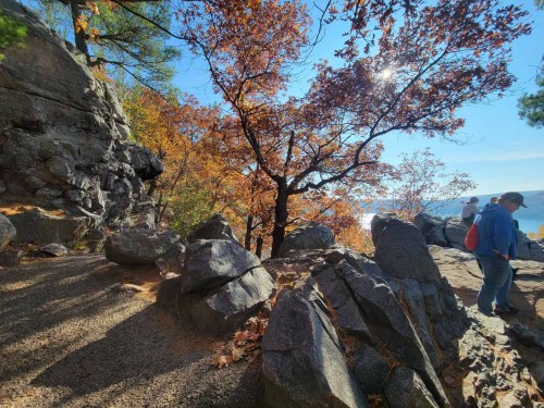 A scenic view of rocky terrain with autumn trees and a person standing near the edge, overlooking a body of water.