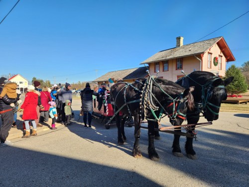 A horse-drawn sleigh is parked near a crowd of people in winter attire, with a festive building in the background.