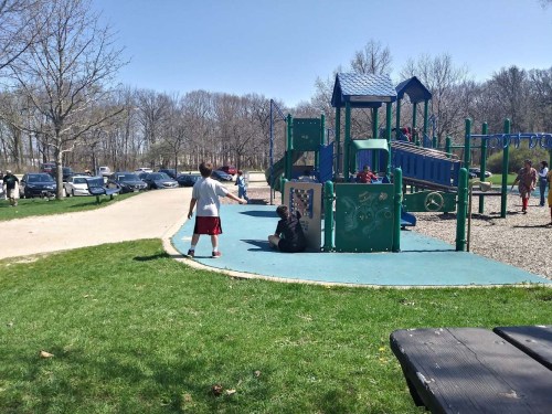 Children play on a colorful playground on a sunny day, with cars parked nearby and trees in the background.