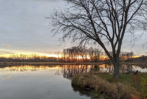 A serene lake at sunset, with trees reflecting on the water and a bench by the shore.