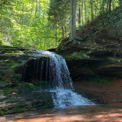 A serene waterfall cascades over mossy rocks, surrounded by lush green trees in a tranquil forest setting.