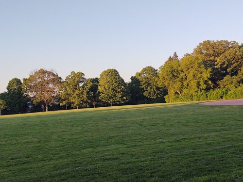 A wide grassy field bordered by trees under a clear sky during the early evening.