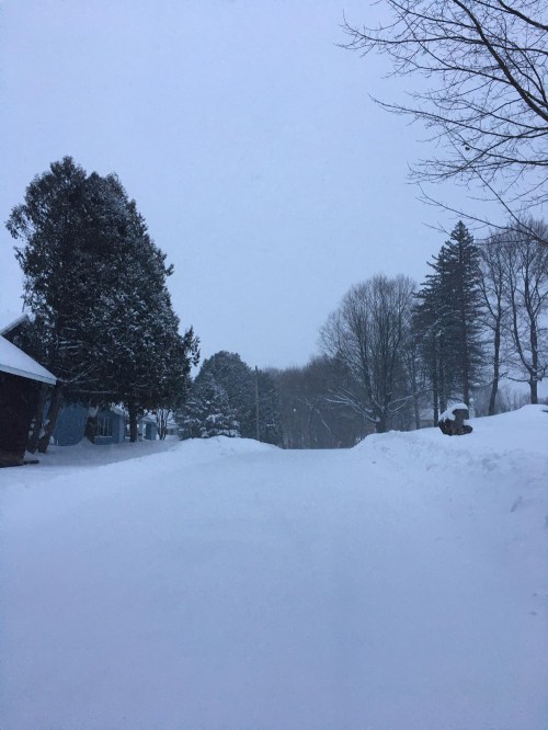 A snowy landscape with trees and a road covered in thick snow, under a gray sky.