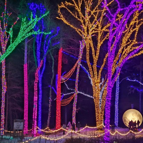 Colorful trees adorned with lights in a winter landscape, featuring a large glowing moon in the background.