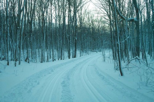 A winding snow-covered path through a tranquil winter forest with bare trees.