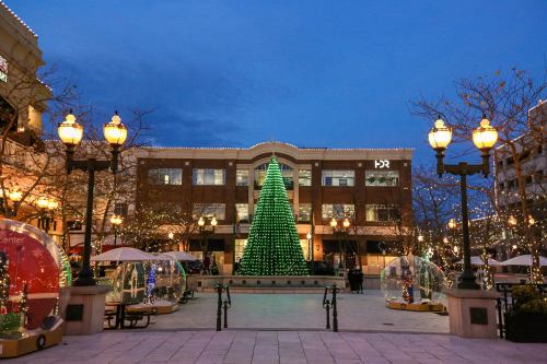 A festive plaza at dusk featuring a large green Christmas tree and illuminated decorations.