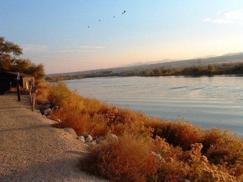 A serene riverbank at sunset, with gentle waves, distant mountains, and birds flying overhead.