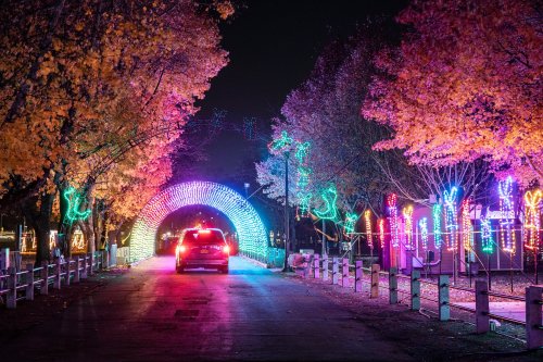 A car drives through a colorful light tunnel surrounded by autumn trees at night.