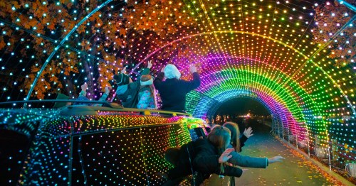 A colorful light tunnel with people enjoying the display from a car roof, surrounded by autumn leaves.