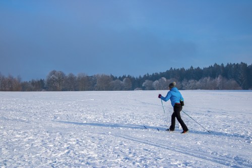 A person skiing on a snowy landscape with trees in the background under a clear blue sky.