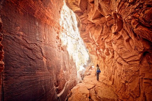 A hiker walks through a narrow, sunlit canyon with textured red rock walls.